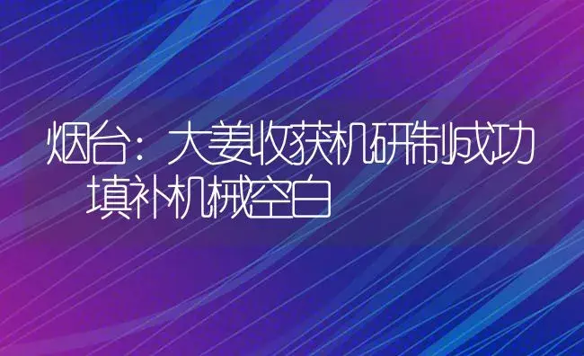 烟台：大姜收获机研制成功 填补机械空白 | 农资农机