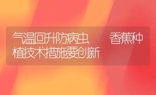 气温回升防病虫  香蕉种植技术措施要创新 | 植物病虫害