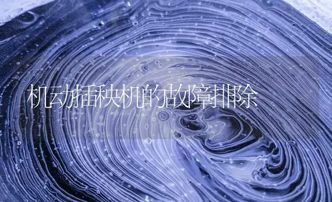 机动插秧机的故障排除 | 农资农机