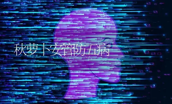 秋萝卜安管防五病 | 蔬菜种植