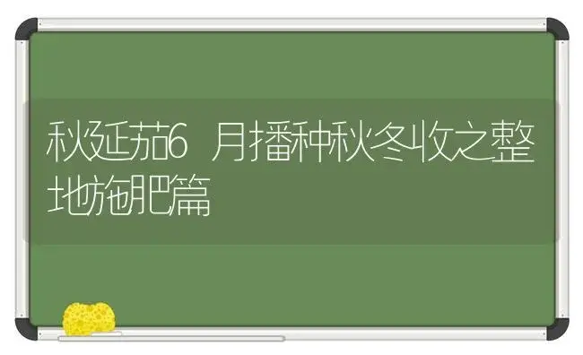 秋延茄6月播种秋冬收之整地施肥篇 | 植物肥料