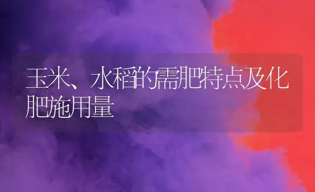玉米、水稻的需肥特点及化肥施用量 | 植物肥料