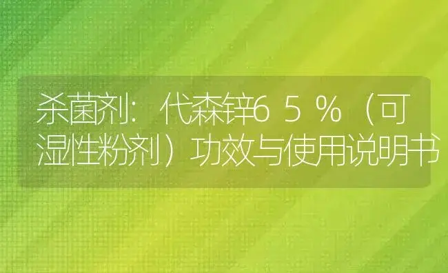 杀菌剂：代森锌65%（可湿性粉剂） | 适用防治对象及农作物使用方法说明书 | 植物农药