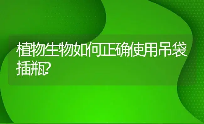 植物生物如何正确使用吊袋插瓶? | 植物病虫害