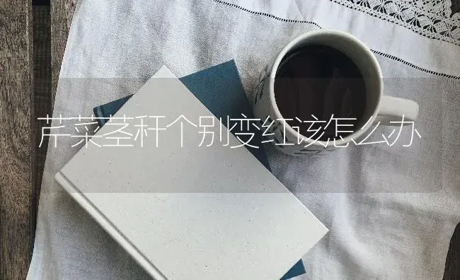 芹菜茎秆个别变红该怎么办 | 蔬菜种植