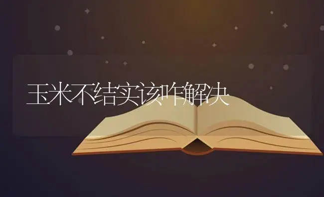 玉米不结实该咋解决 | 蔬菜种植