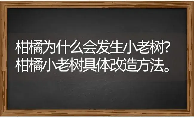 柑橘为什么会发生小老树？柑橘小老树具体改造方法。 | 蔬菜种植