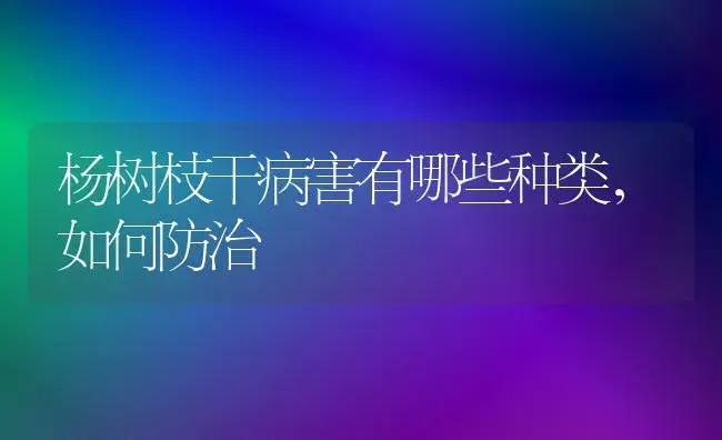 杨树枝干病害有哪些种类，如何防治 | 植物病虫害