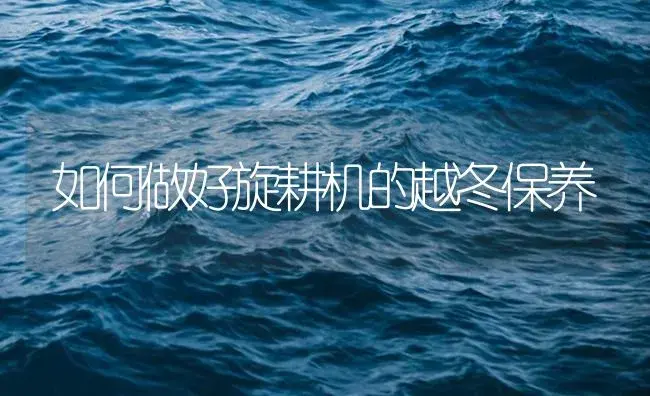 如何做好旋耕机的越冬保养 | 农资农机