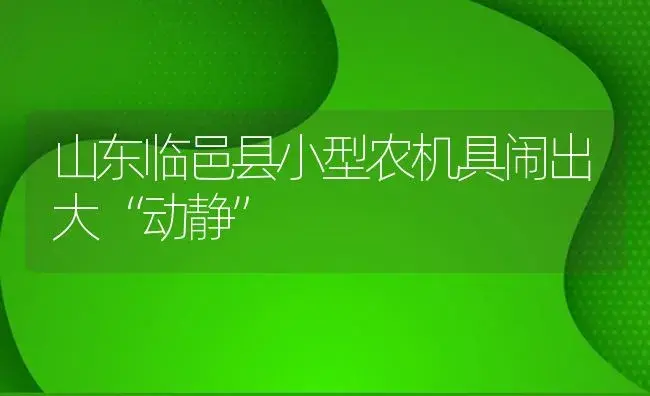 山东临邑县小型农机具闹出大“动静” | 农资农机