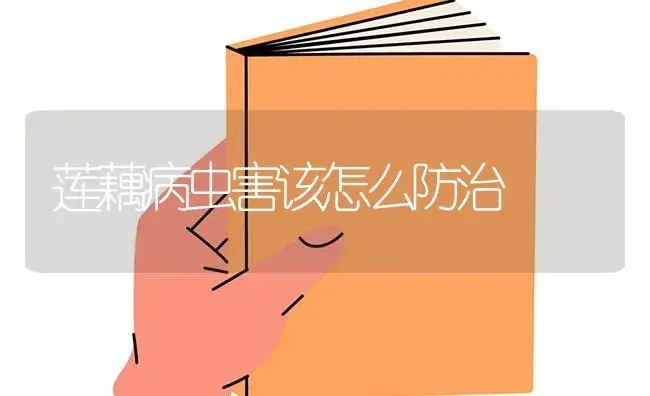 莲藕病虫害该怎么防治 | 蔬菜种植