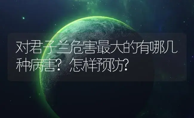 对君子兰危害最大的有哪几种病害?怎样预防? | 植物病虫害