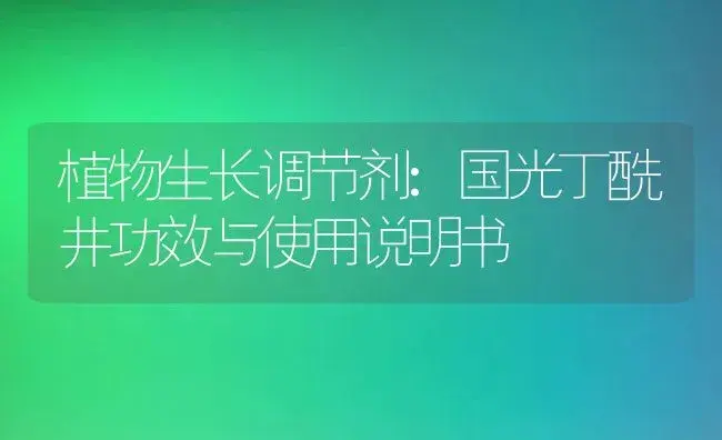 植物生长调节剂：国光丁酰井 | 适用防治对象及农作物使用方法说明书 | 植物农药