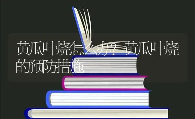 黄瓜叶烧怎么办？黄瓜叶烧的预防措施 | 蔬菜种植