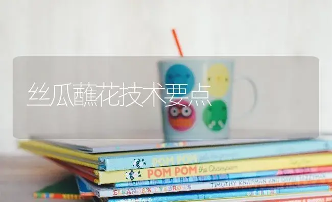 丝瓜蘸花技术要点 | 蔬菜种植
