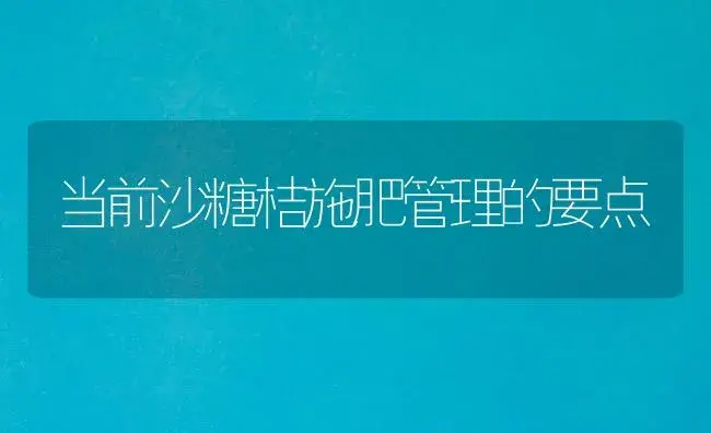 当前沙糖桔施肥管理的要点 | 植物肥料