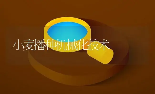 小麦播种机械化技术 | 农资农机