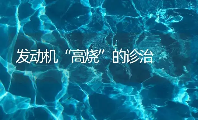 发动机“高烧”的诊治 | 农资农机