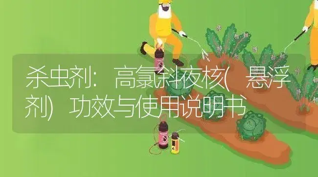 杀虫剂：高氯斜夜核(悬浮剂) | 适用防治对象及农作物使用方法说明书 | 植物农药