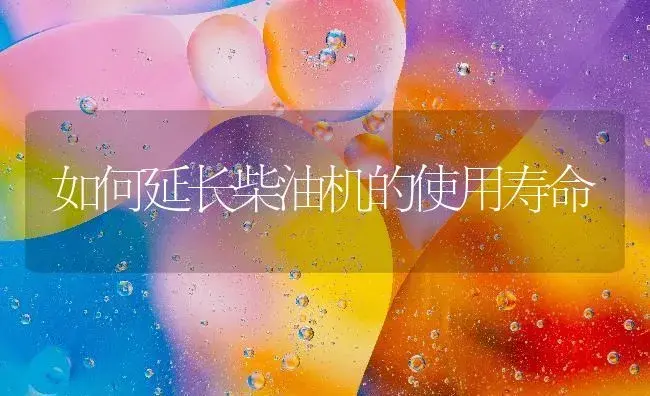 如何延长柴油机的使用寿命 | 农资农机