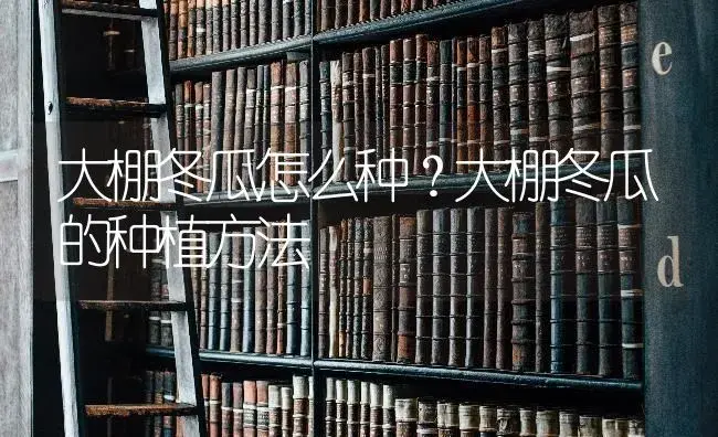 大棚冬瓜怎么种？大棚冬瓜的种植方法 | 蔬菜种植