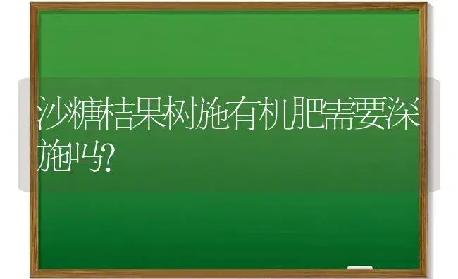 沙糖桔果树施有机肥需要深施吗？ | 植物肥料