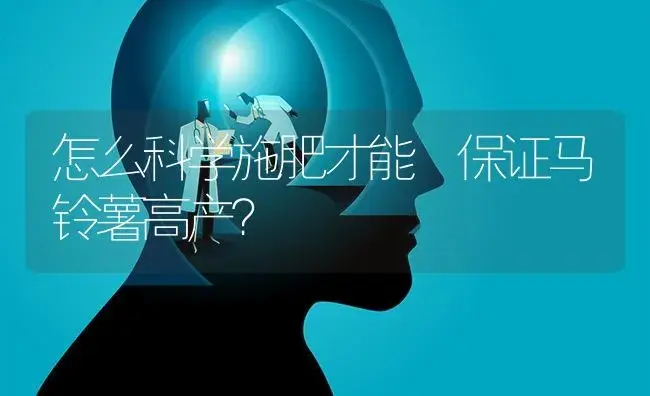 怎么科学施肥才能 保证马铃薯高产？ | 蔬菜种植