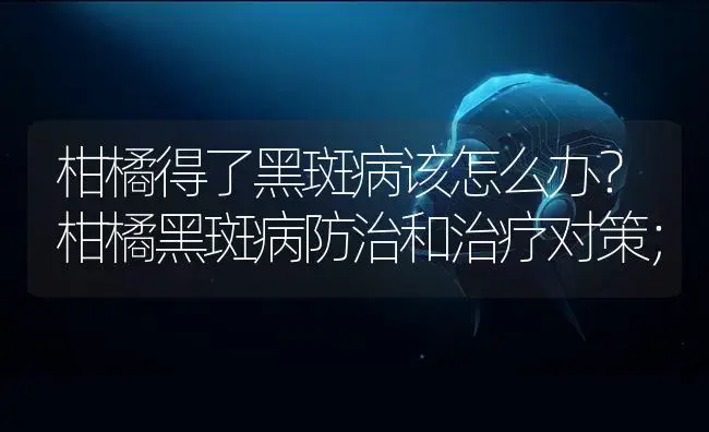 柑橘得了黑斑病该怎么办？柑橘黑斑病防治和治疗对策； | 蔬菜种植