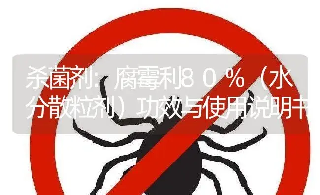 杀菌剂：腐霉利80%（水分散粒剂） | 适用防治对象及农作物使用方法说明书 | 植物农药