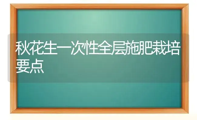 秋花生一次性全层施肥栽培要点 | 植物肥料