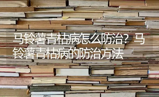 马铃薯青枯病怎么防治？马铃薯青枯病的防治方法 | 蔬菜种植