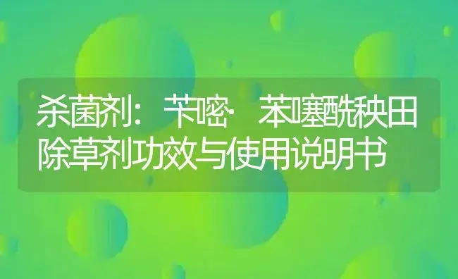 杀菌剂：苄嘧·苯噻酰秧田除草剂 | 适用防治对象及农作物使用方法说明书 | 植物农药