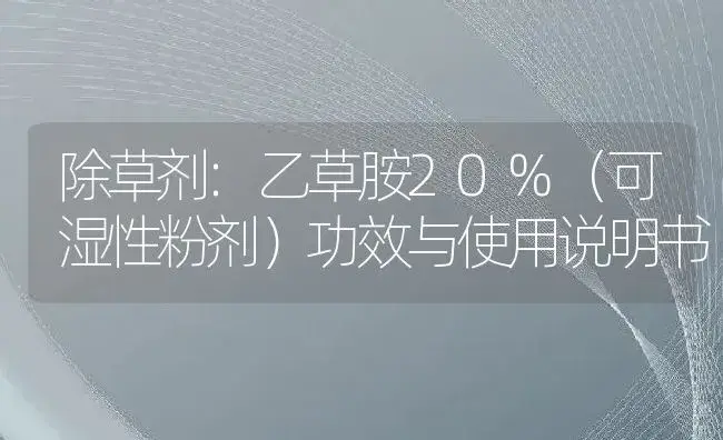 除草剂：乙草胺20%（可湿性粉剂） | 适用防治对象及农作物使用方法说明书 | 植物农药