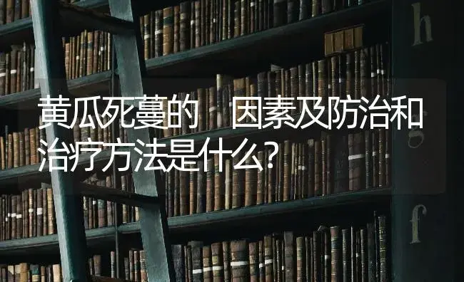 黄瓜死蔓的 因素及防治和治疗方法是什么？ | 蔬菜种植