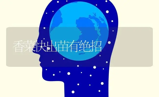 香瓜遇病害怎么办？香瓜病害的解决措施 | 蔬菜种植