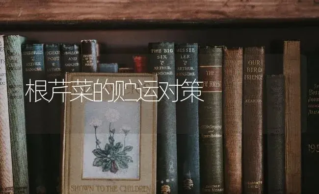 根芹菜的贮运对策 | 蔬菜种植