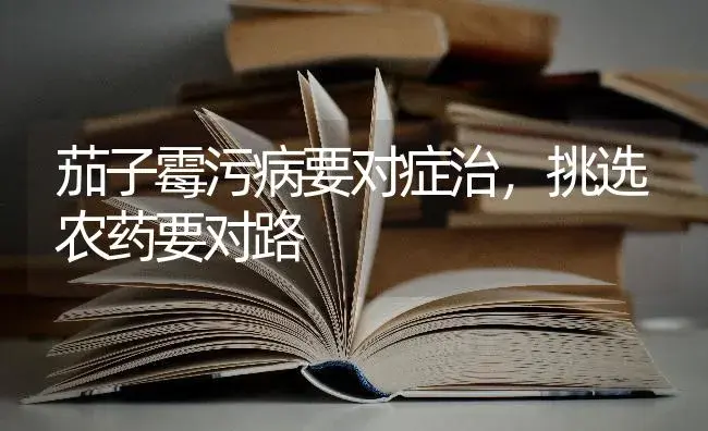 茄子霉污病要对症治，挑选农药要对路 | 蔬菜种植