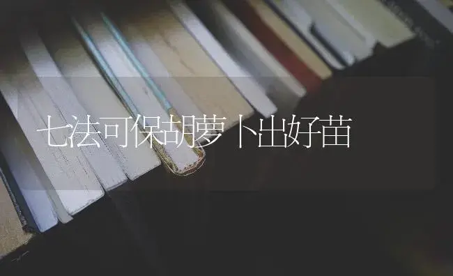 七法可保胡萝卜出好苗 | 蔬菜种植