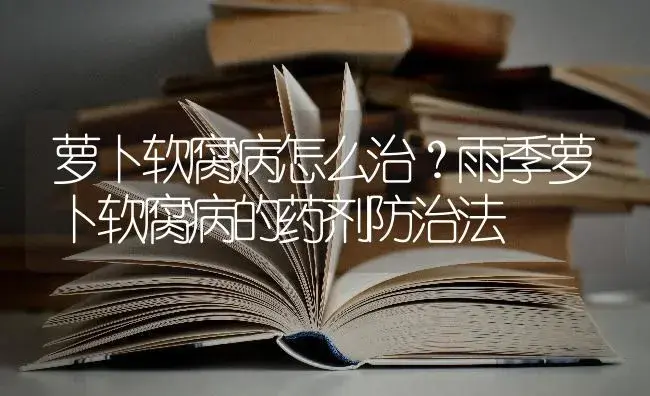 萝卜软腐病怎么治？雨季萝卜软腐病的药剂防治法 | 蔬菜种植