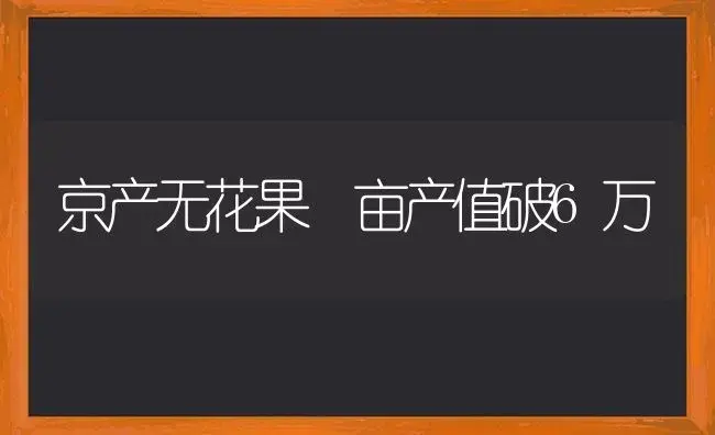 京产无花果 亩产值破6万 | 蔬菜种植