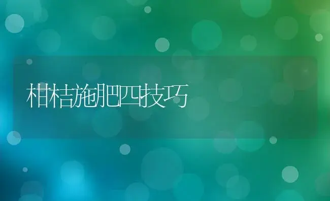 柑桔施肥四技巧 | 植物肥料