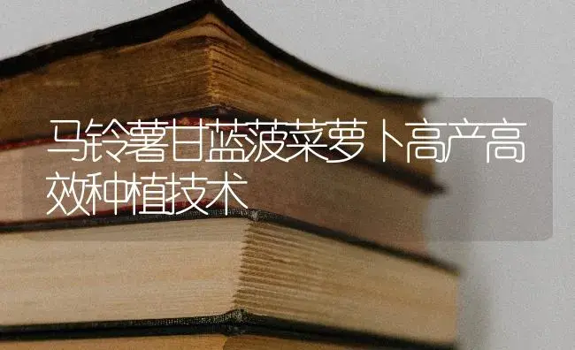 香菜种子合理的出苗办法 | 蔬菜种植