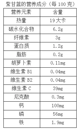 凉拌紫甘蓝有什么营养价值？怎么做好吃又能健康减肥？