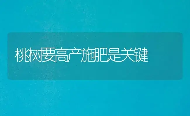 桃树要高产施肥是关键 | 植物肥料