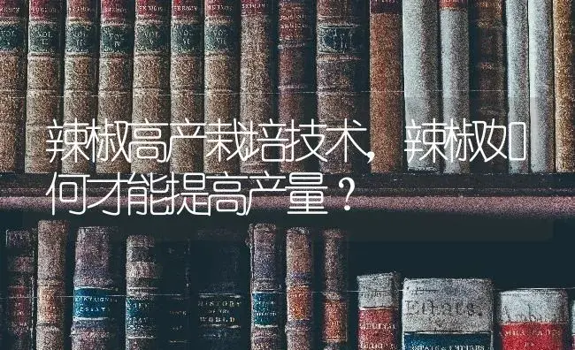 辣椒高产栽培技术，辣椒如何才能提高产量？ | 蔬菜种植