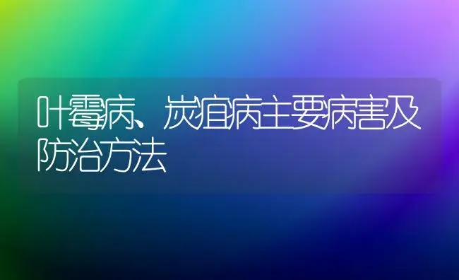 叶霉病、炭疽病主要病害及防治方法 | 植物病虫害