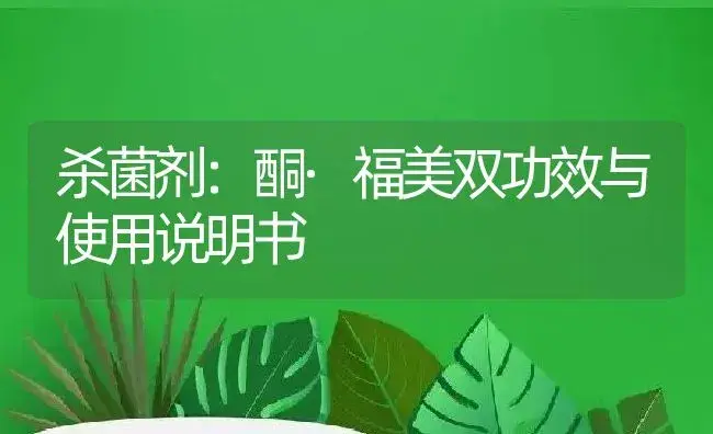 杀菌剂：酮·福美双 | 适用防治对象及农作物使用方法说明书 | 植物农药