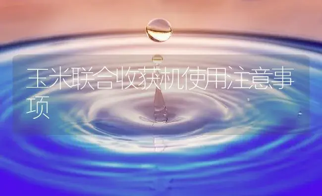玉米联合收获机使用注意事项 | 农资农机
