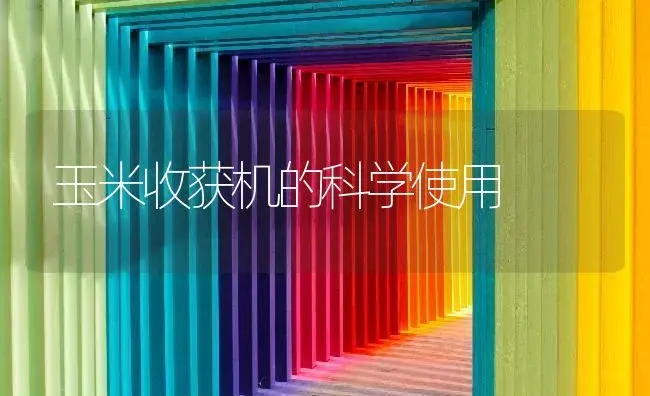 玉米收获机的科学使用 | 农资农机