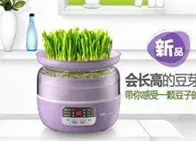 豆芽机怎么选,豆芽机品牌介绍